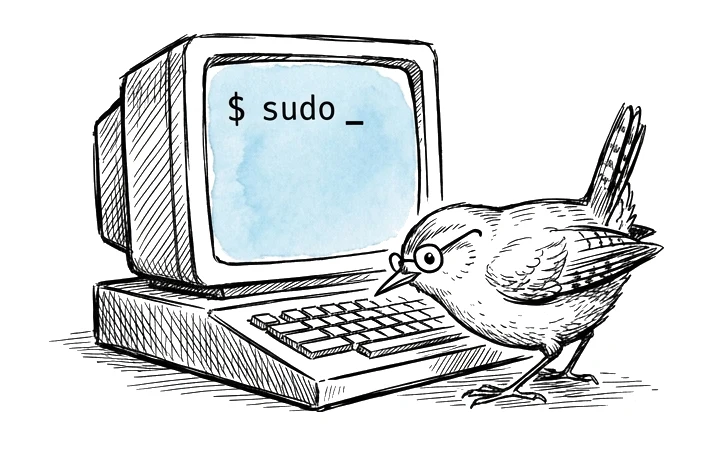 Ink sketch of a wren in glasses pecking at a retro computer whose screen reads: $ sudo _